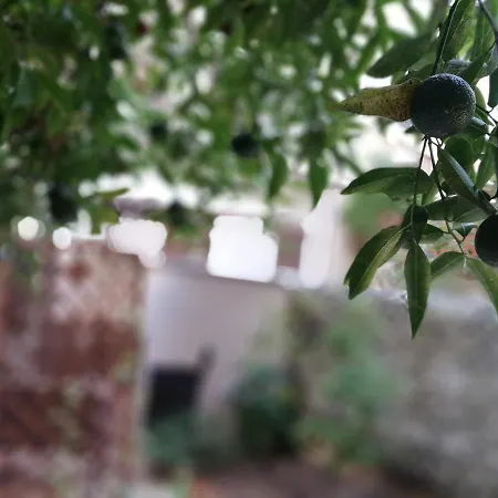 Bella Palermo Bed and Breakfast Esterno foto