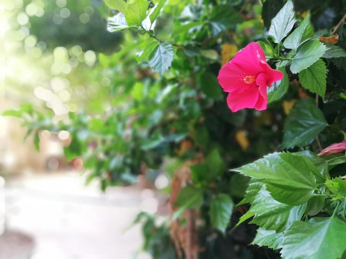 Bed & Breakfast Bella Palermo