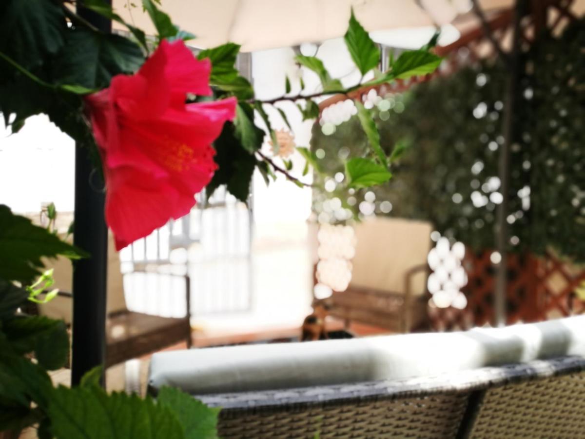 Bella Bed & Breakfast